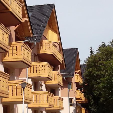 Apartament Podgorze 21 Daire Szklarska Poreba Dış mekan fotoğraf